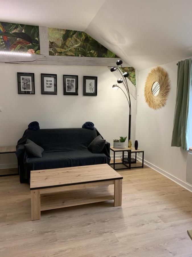 Latypique Family Appartement Bourges